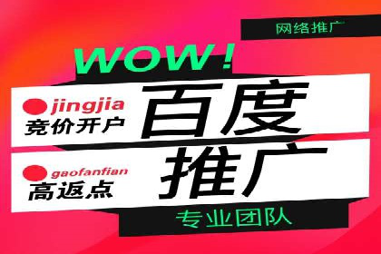 百度竞价排名案例分享：广告投放的技巧与误区